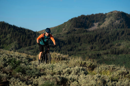 Warum ein E-Bike die perfekte Alternative zum Auto ist Einleitung: